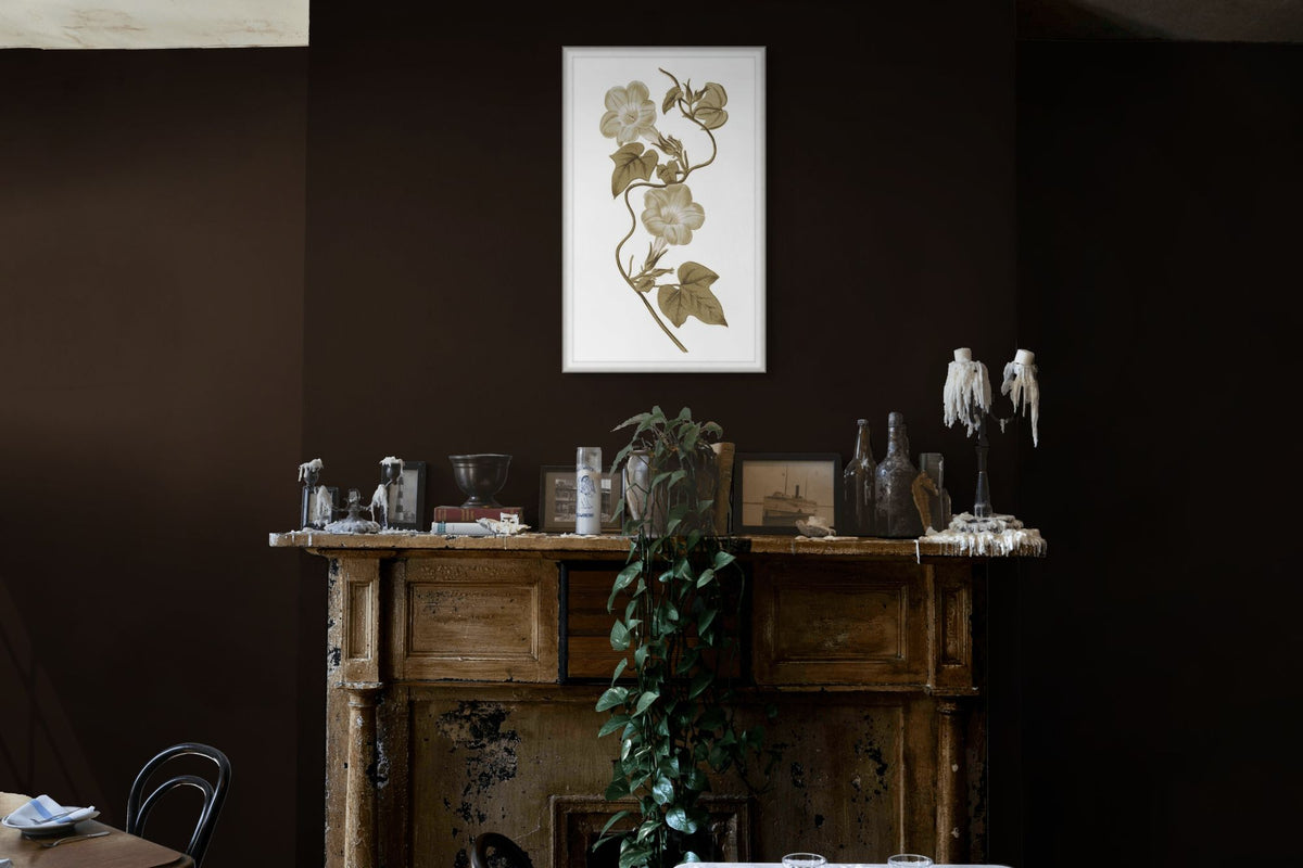 Sweet Preservation 4 — in situ