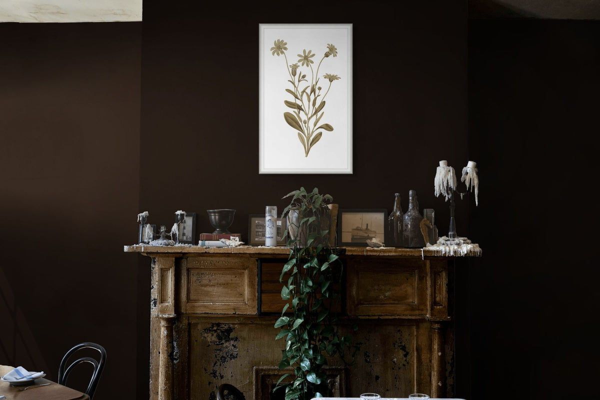 Sweet Preservation 5 — in situ