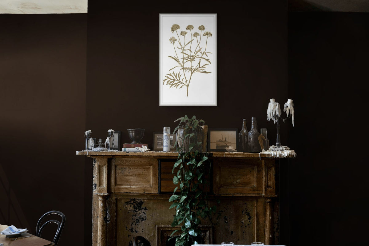 Sweet Preservation 9 — in situ