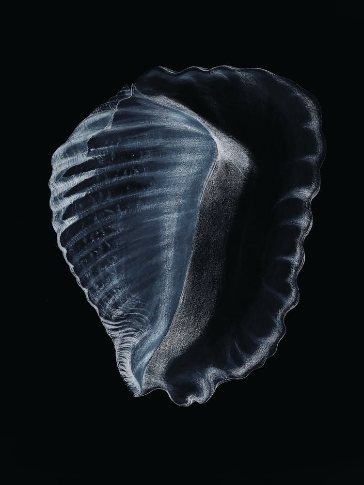 Tidal Blues 1 artwork