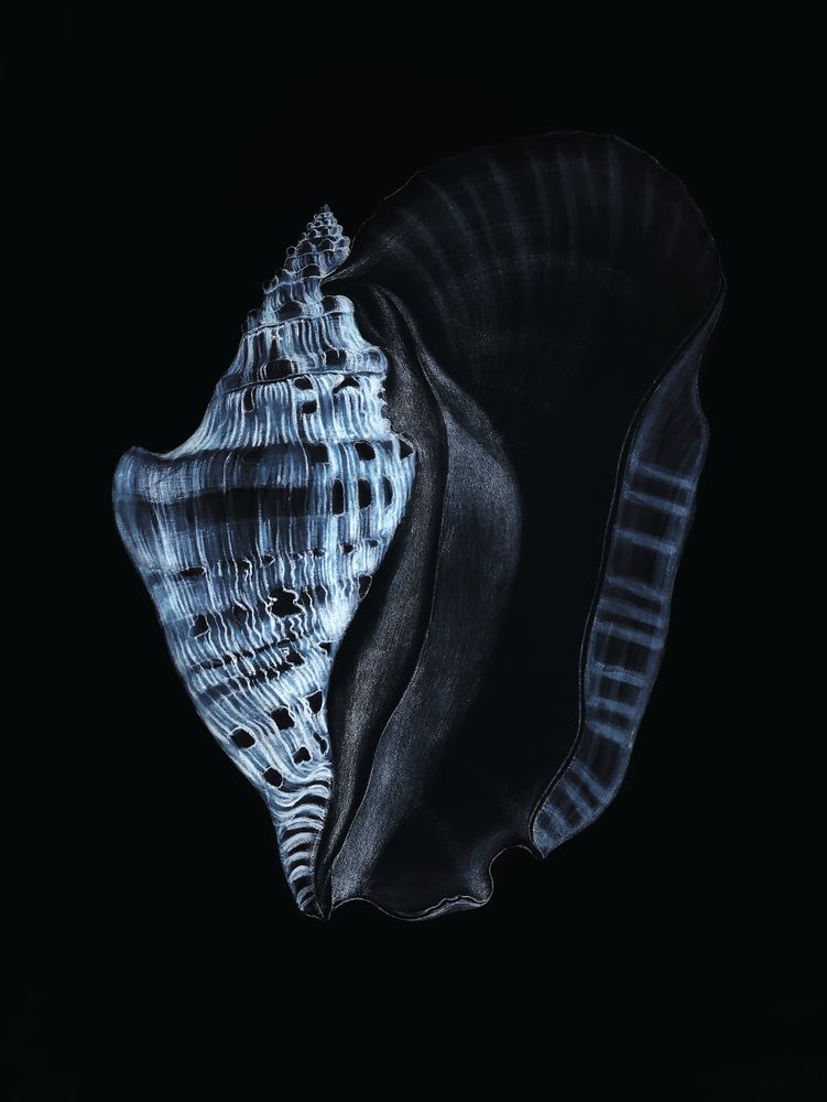 Tidal Blues 2 artwork