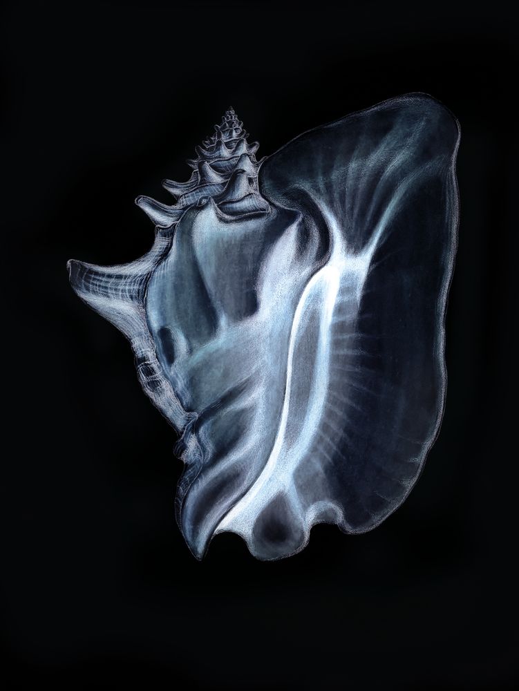 Tidal Blues 4 artwork