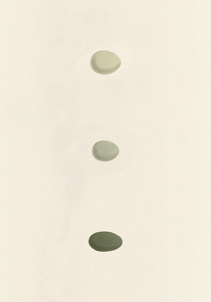 Unhatched 7 artwork