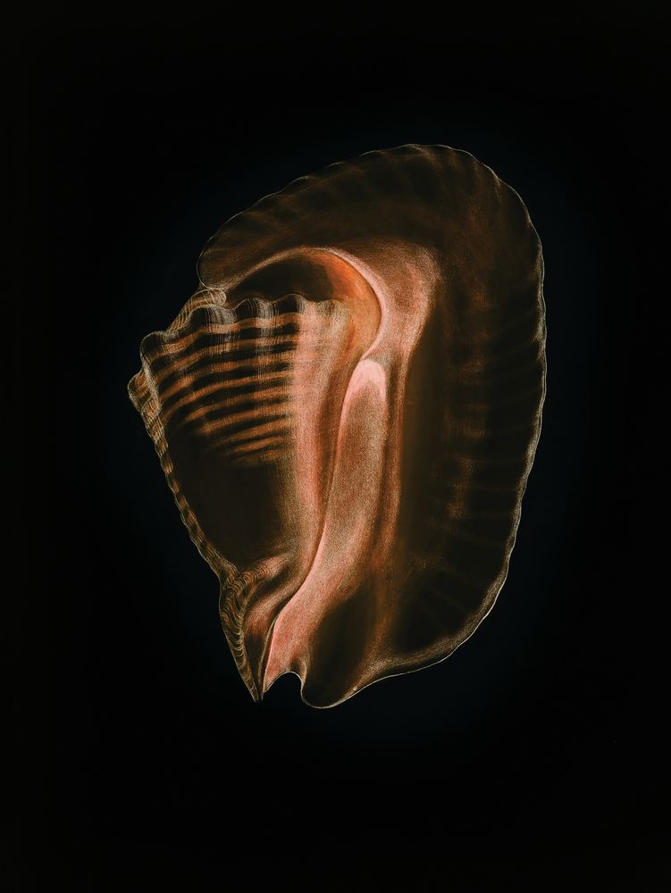 Wild Calm 1 artwork