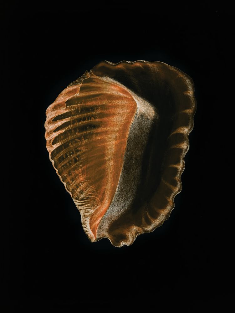 Wild Calm 2 artwork