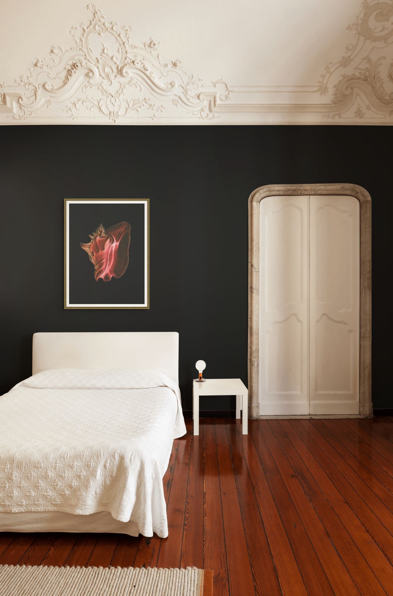 Wild Calm 6 in a room