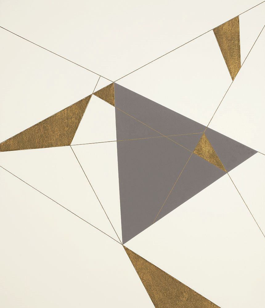 An Equilateral Appeal Gray 2 artwork