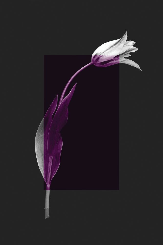 Color Burn Blossom 2 — artwork