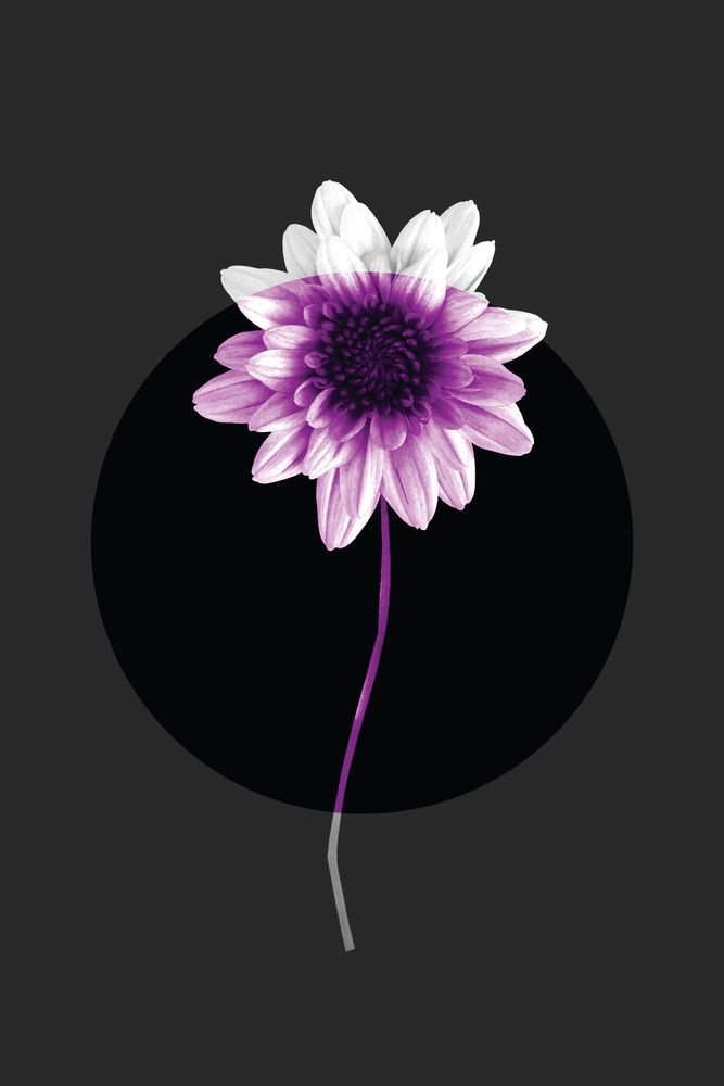 Color Burn Blossom 4 — artwork