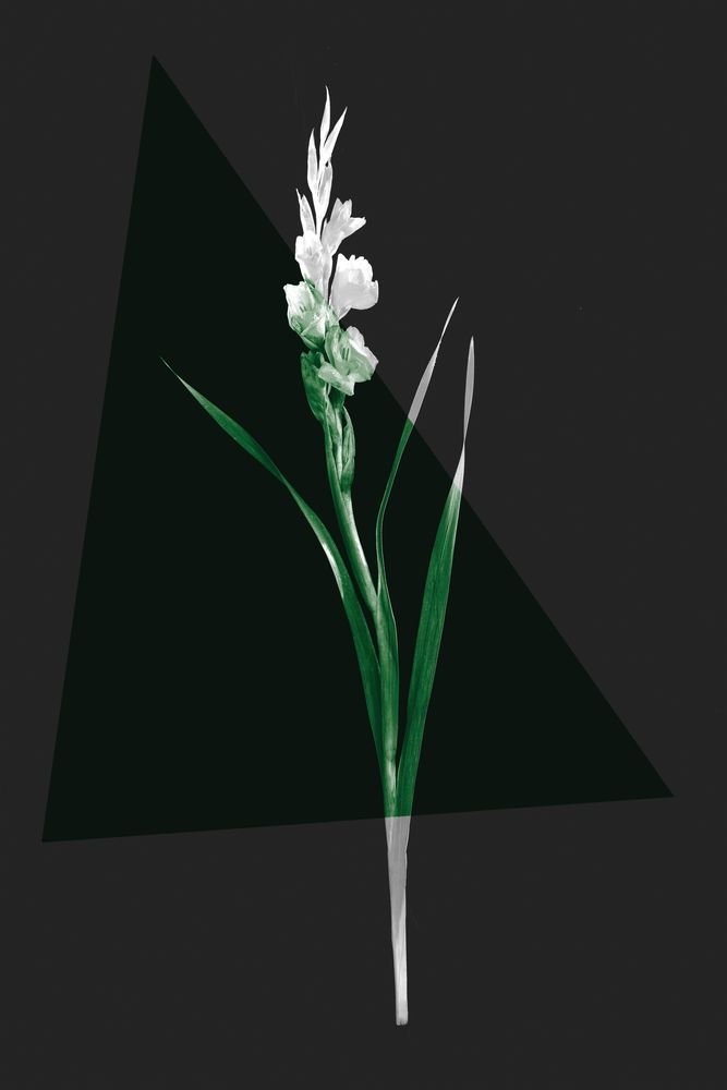 Color Burn Blossom 6 — artwork