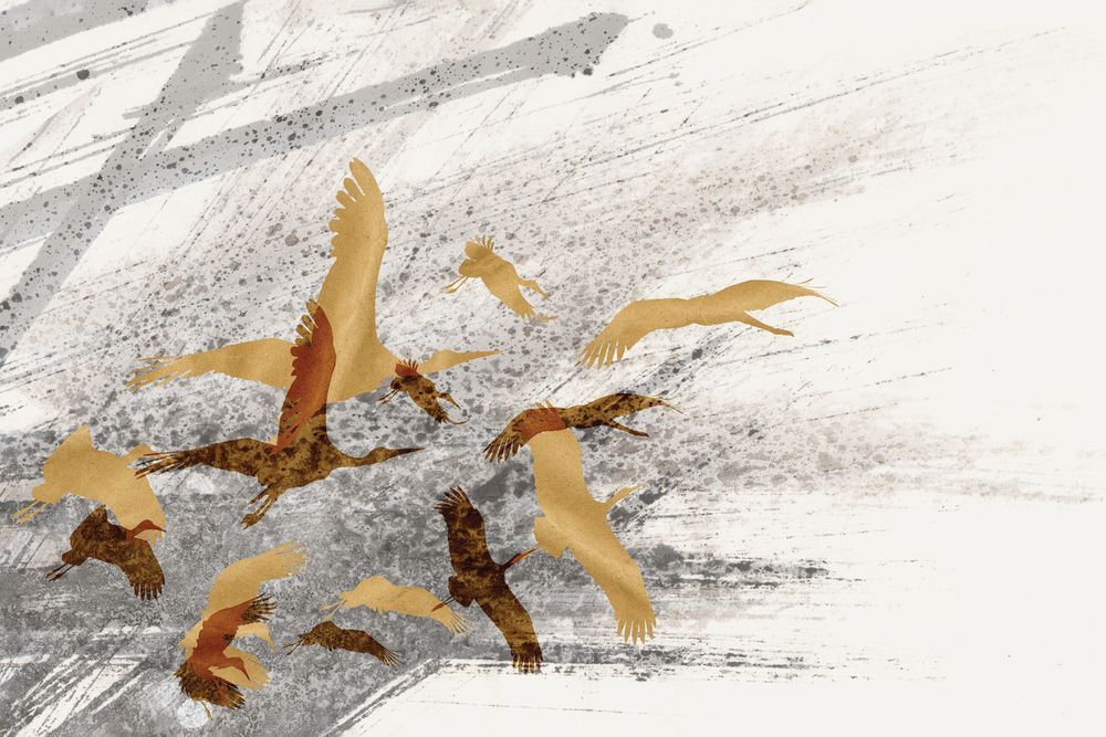 Fervent Flight 1 artwork