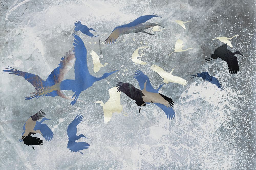 Night Heron 1 artwork