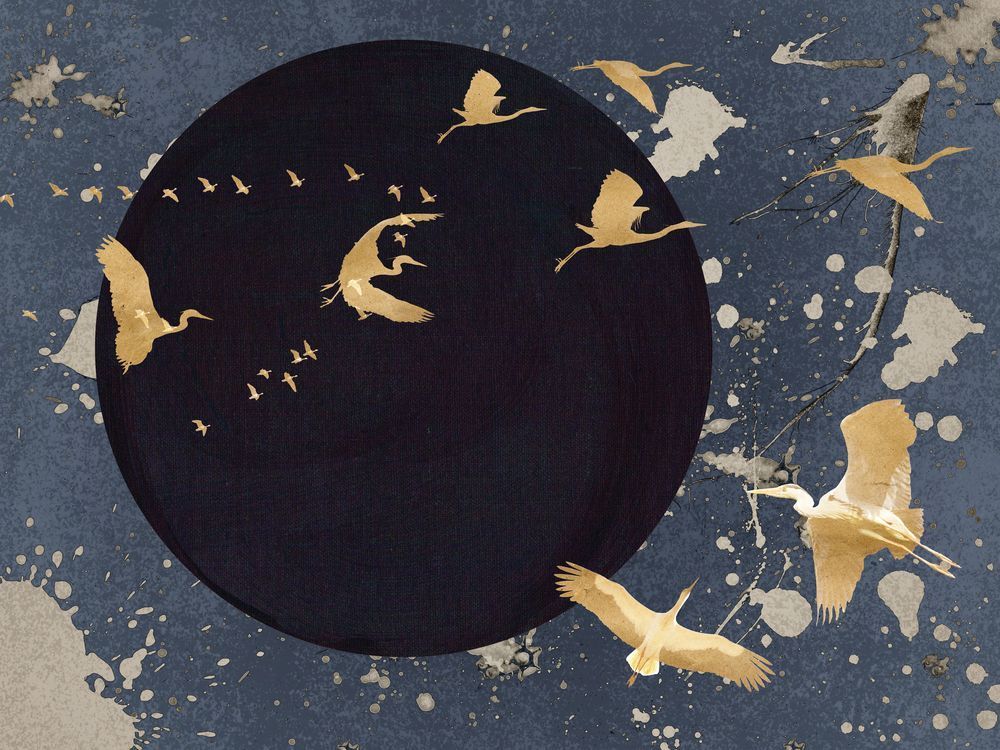 Soaring Eclipse 1 artwork