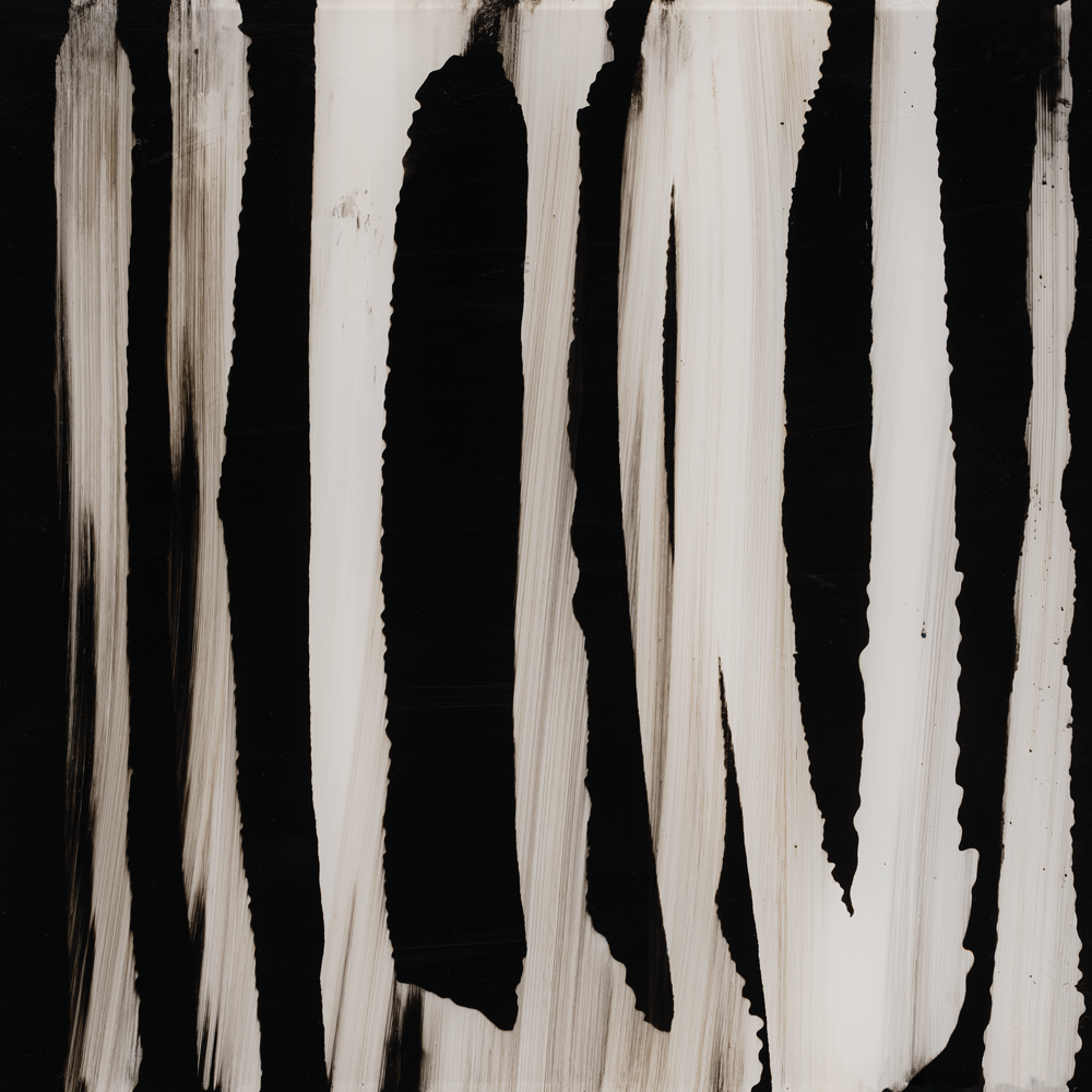 Shades of Adore 1 artwork