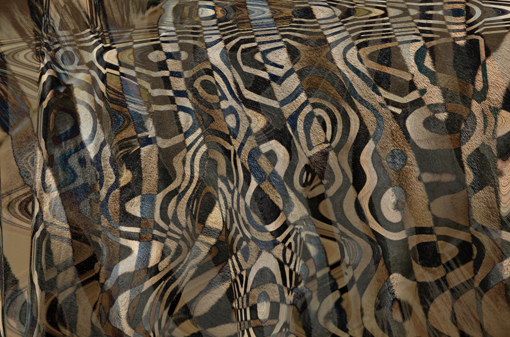 Zebra 1 artwork