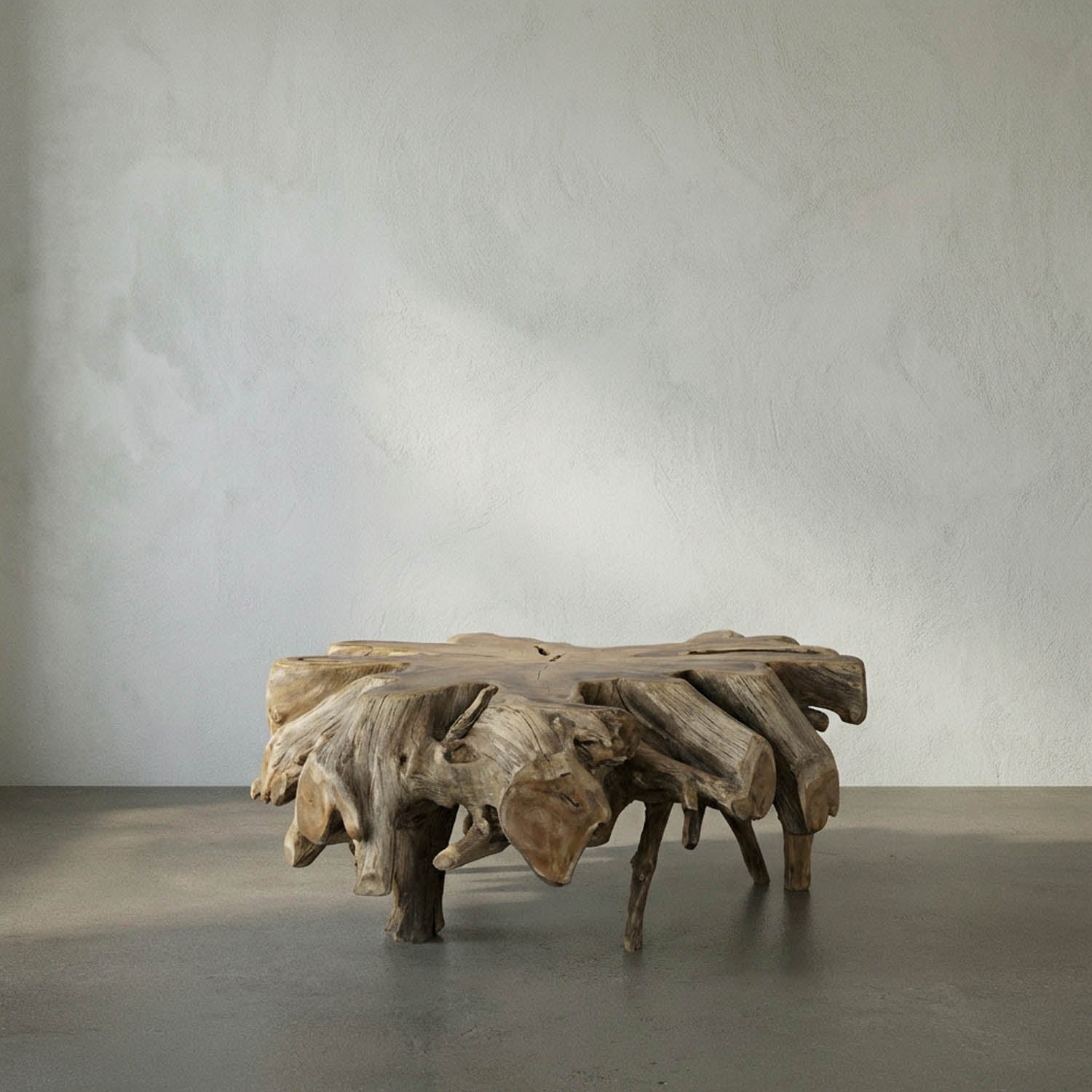 Teak Root Coffee Table by Noir