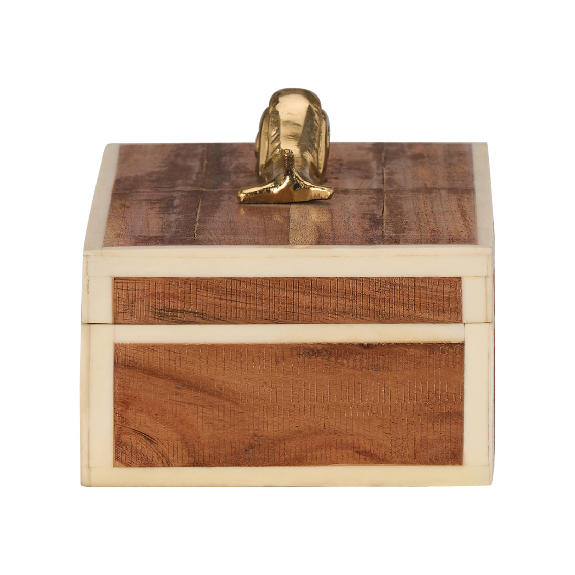 Snail Box