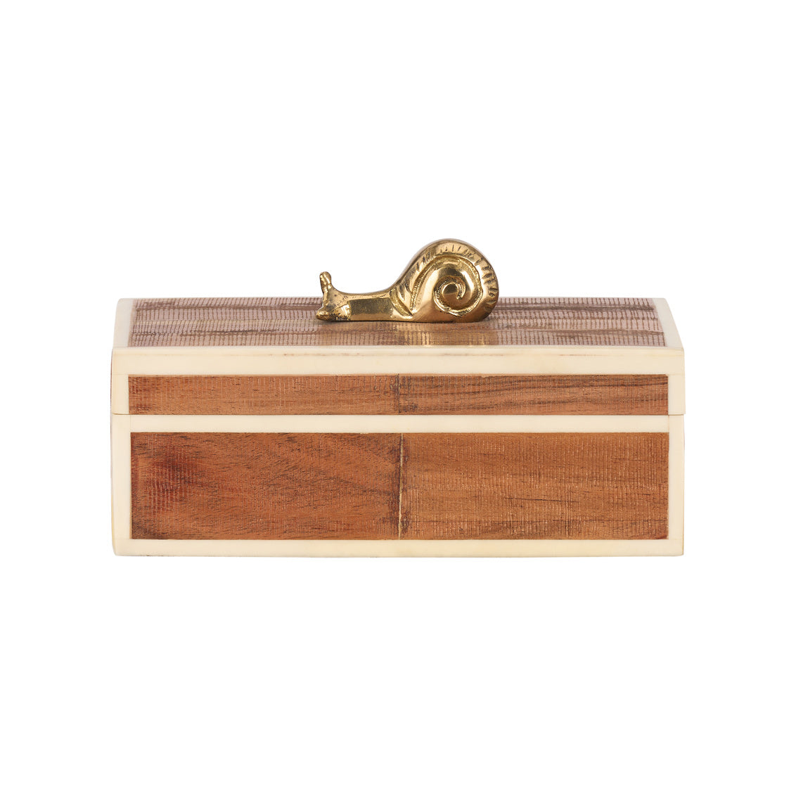 Snail Box