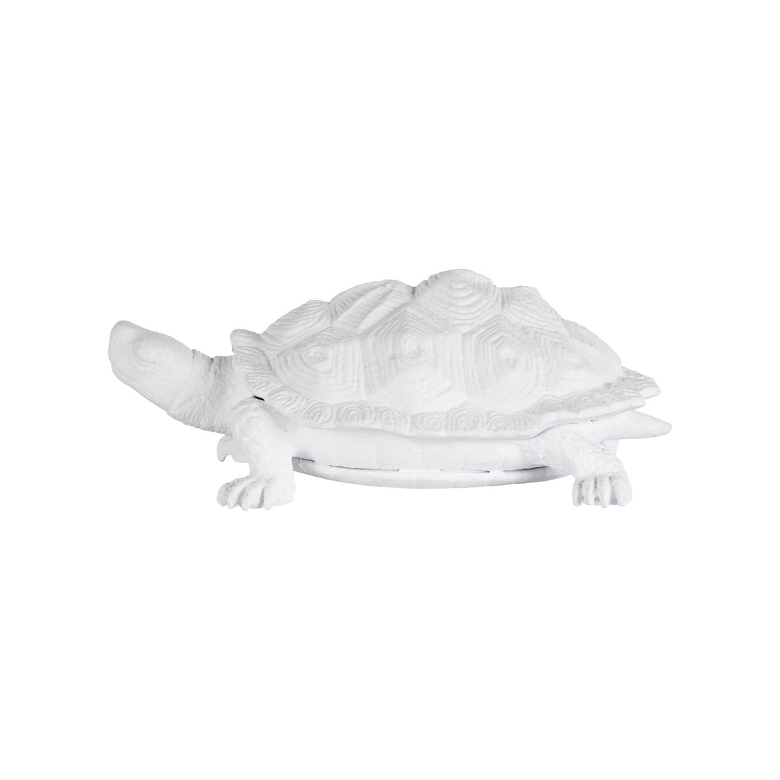 Turtle - White in White / Metal - Chelsea House