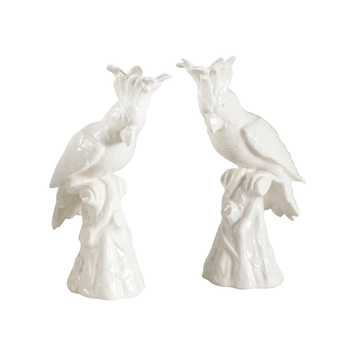 Hope Parrots (Pr) - White