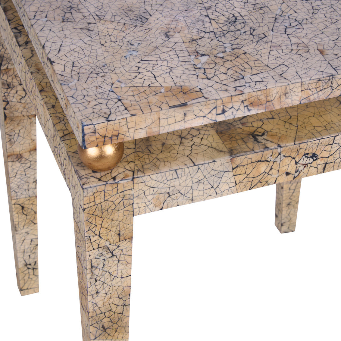 Hugo Side Table in Natural Coco/Gold Leaf / Wood - Chelsea House