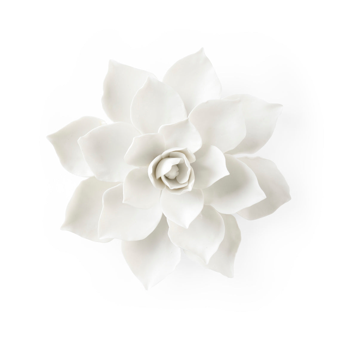 Magnolia Wall Flower