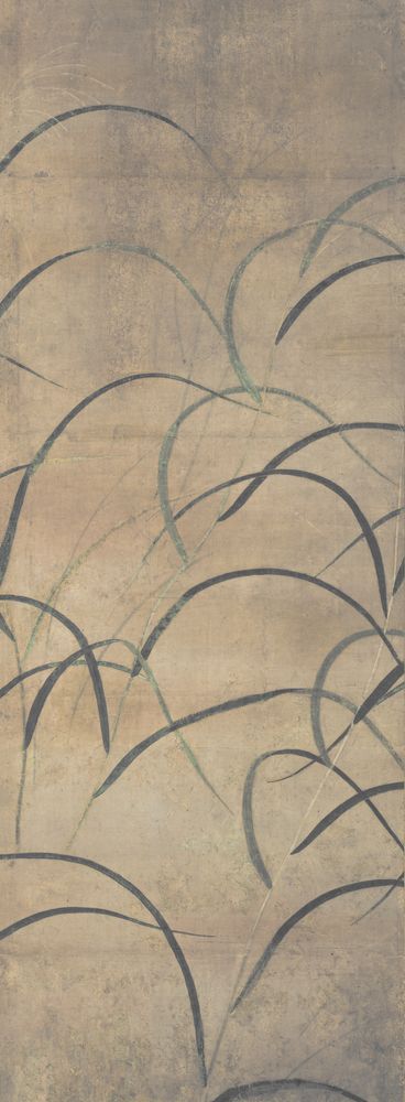 Chinese Grass 7 — artwork