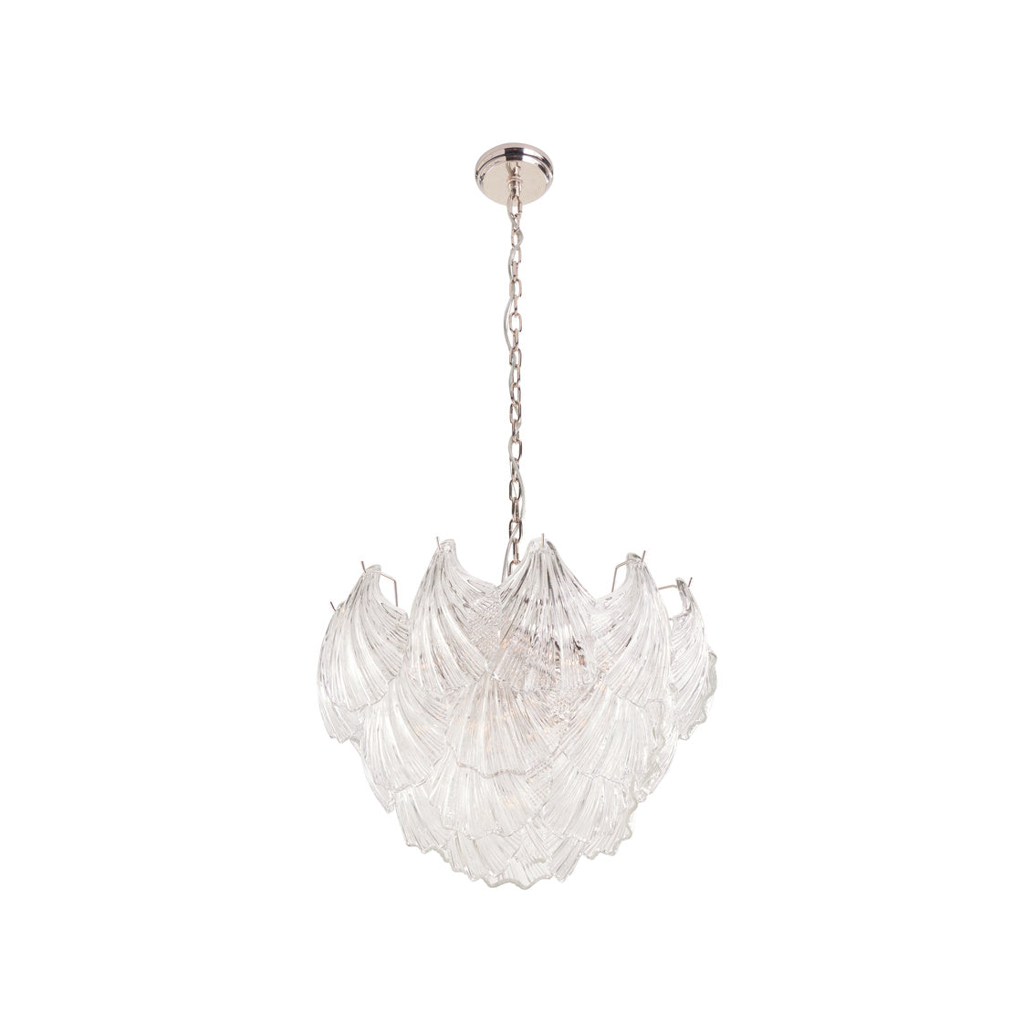 Shell Chandelier in 17 / Metal - Chelsea House