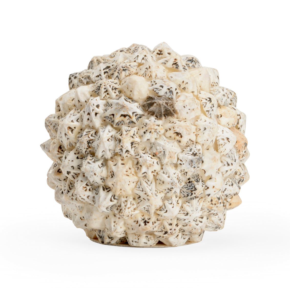 Shell Ball (Lg) in 5.5 / Shell - Chelsea House