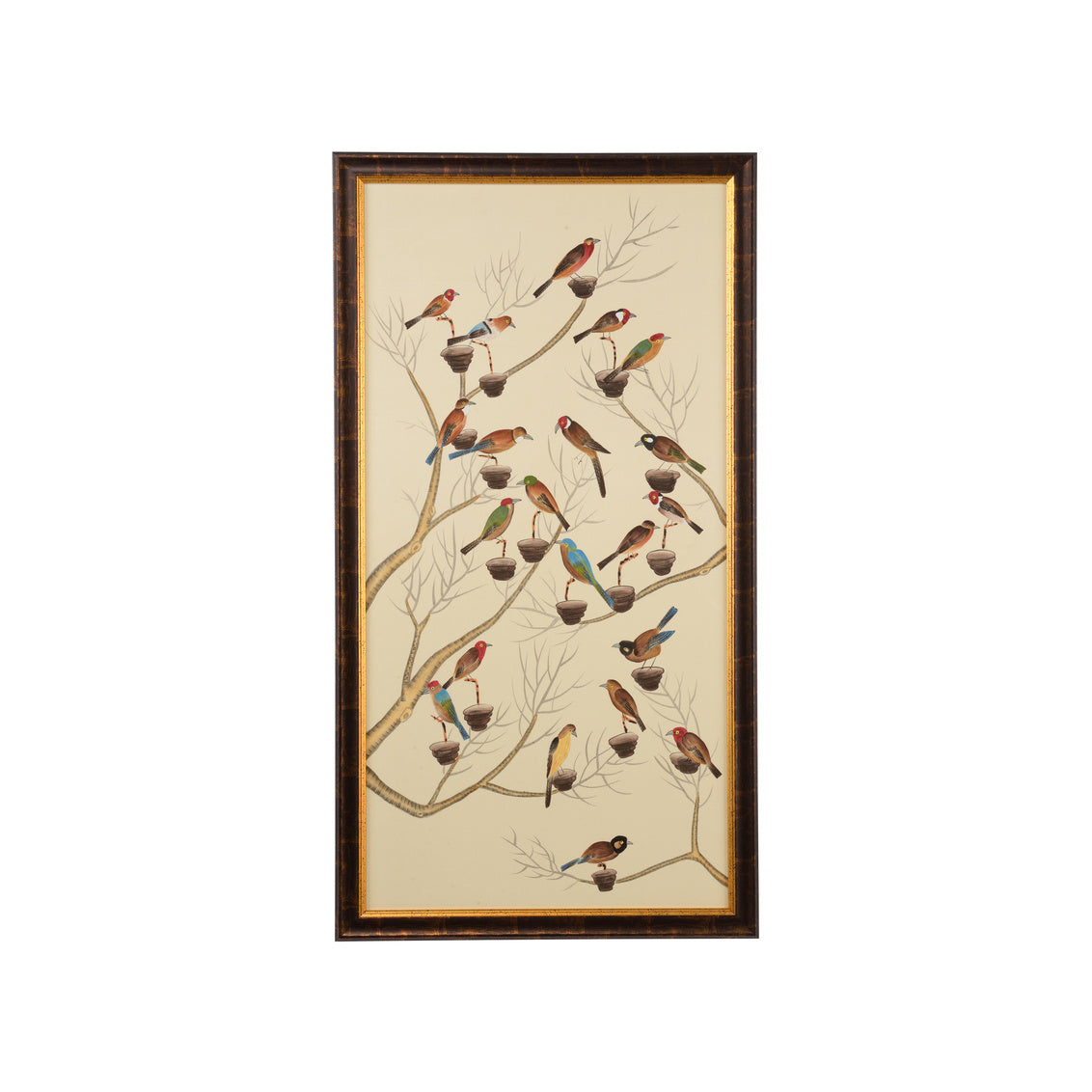 Small Aviary - B