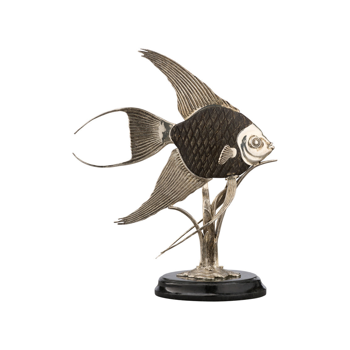 Angelfish - Scales