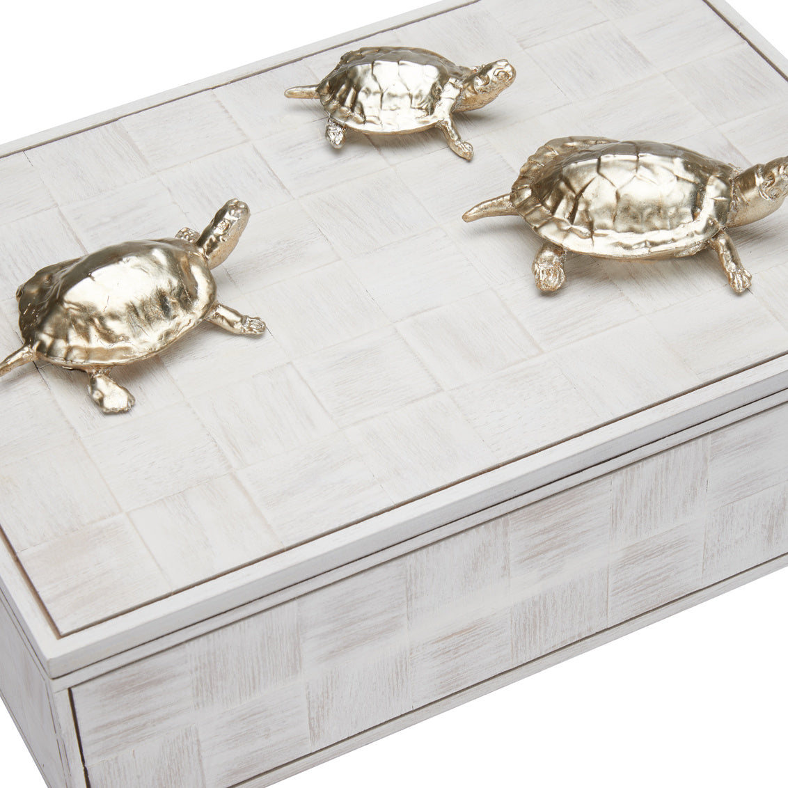 Tortoise Family Box