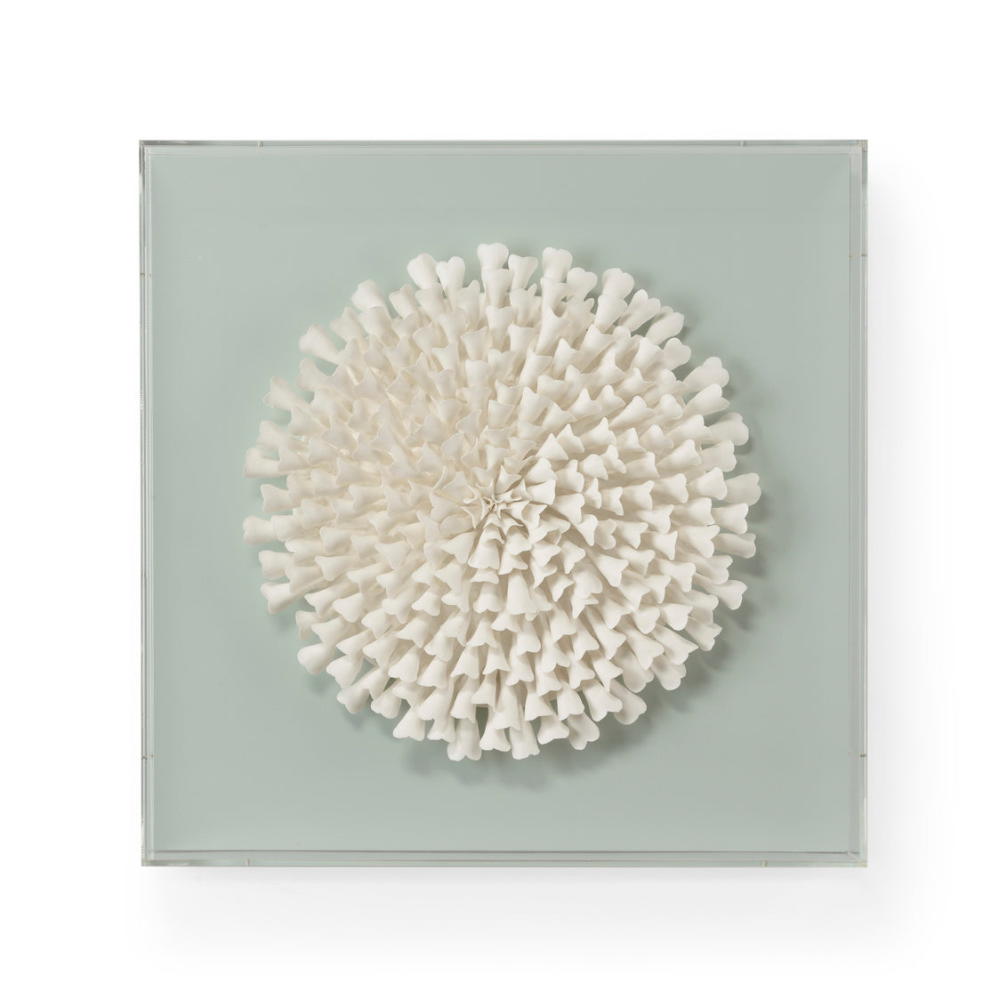Succulent Wall Sculpture - A