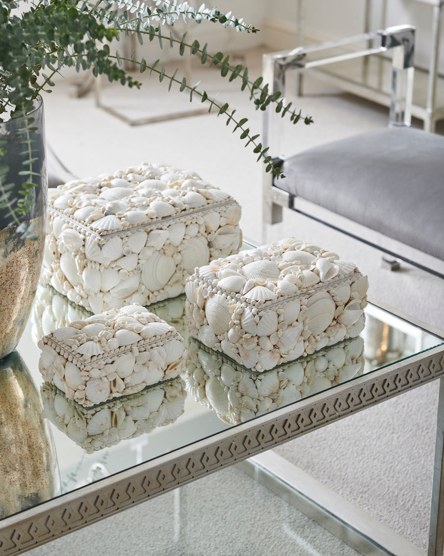White Shell Boxes (S3) in Natural White / Shell - Chelsea House