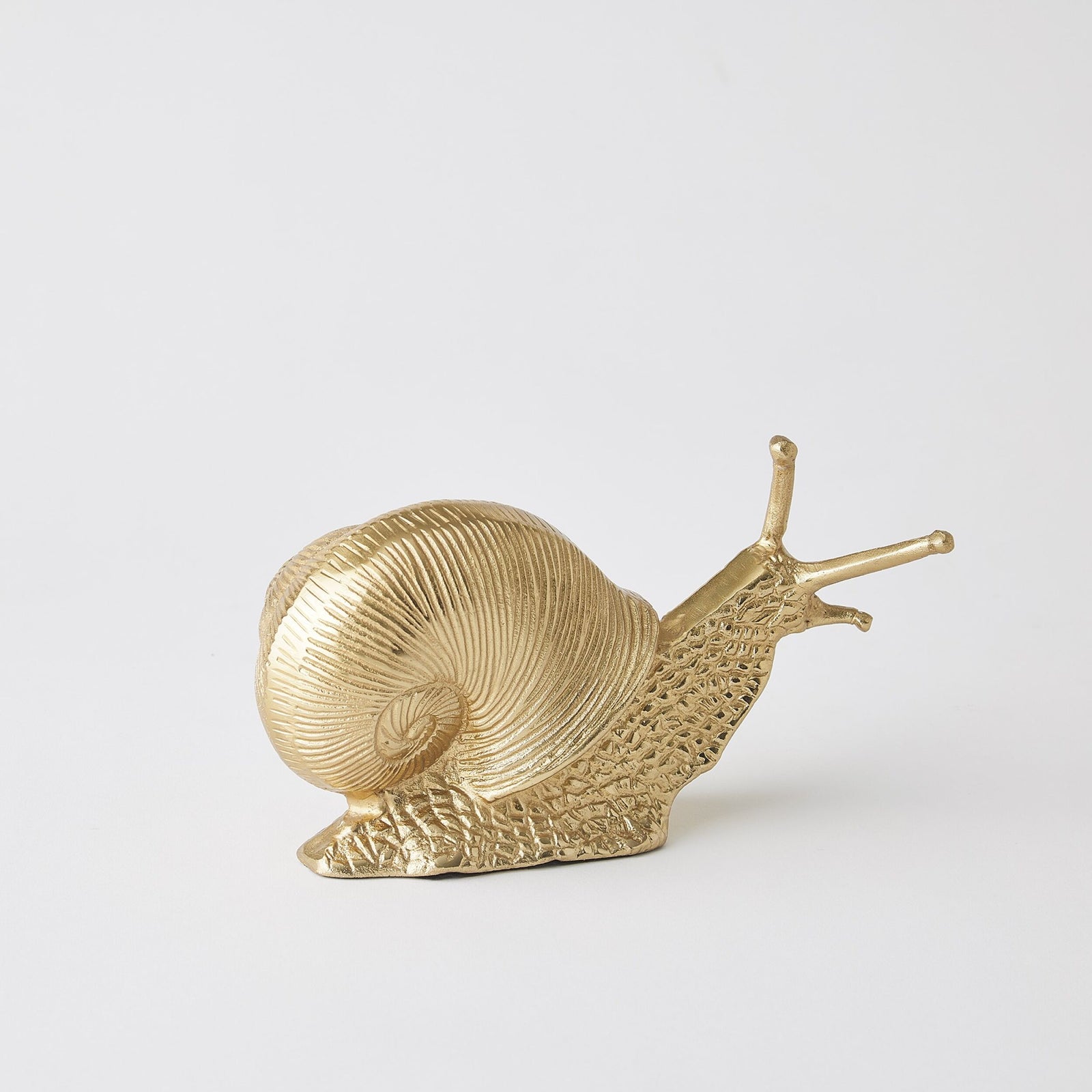 Slowcoach Snail-Gold