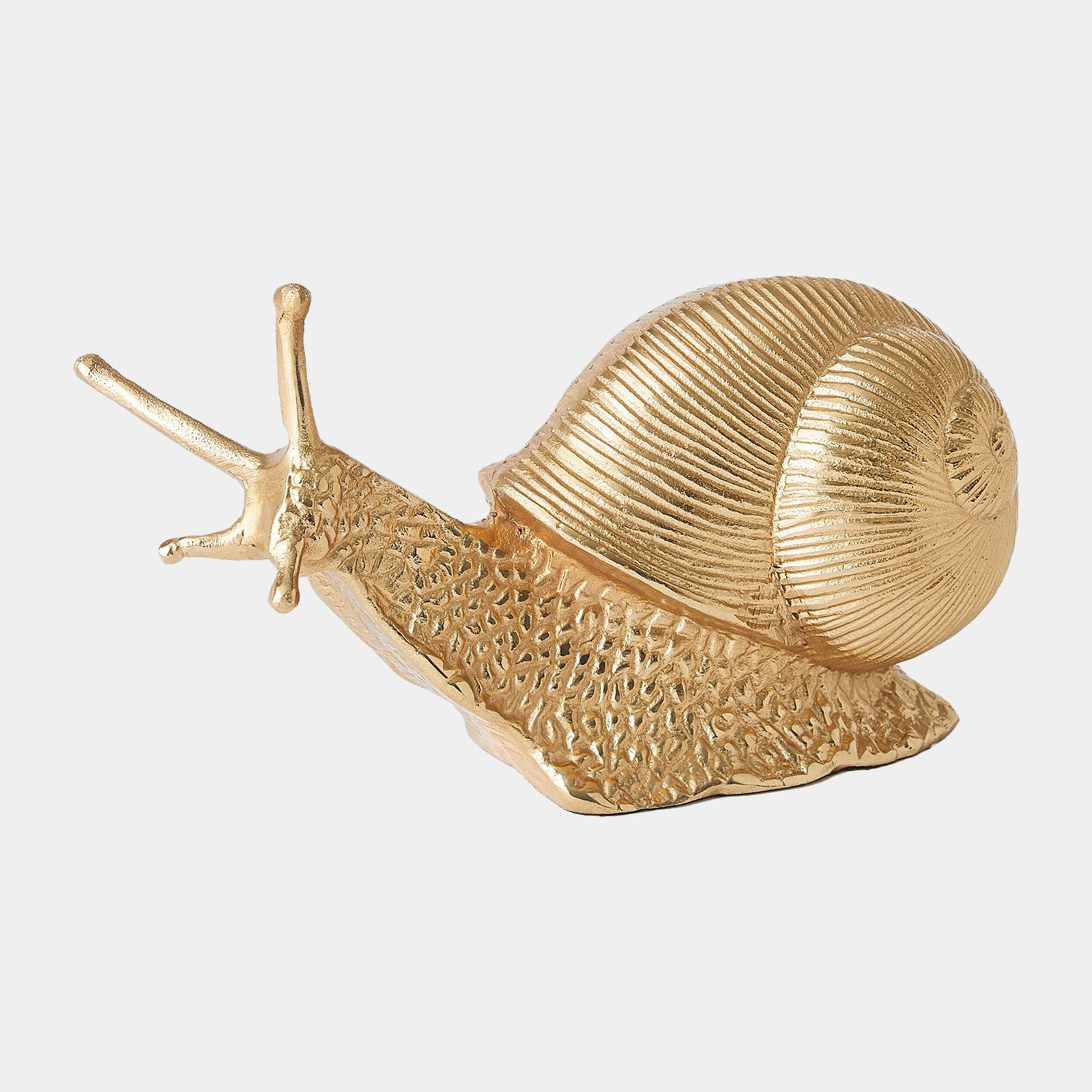 Slowcoach Snail-Gold