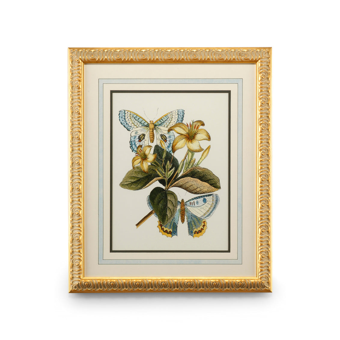 Butterfly Oasis IV in 27 / Wood - Chelsea House