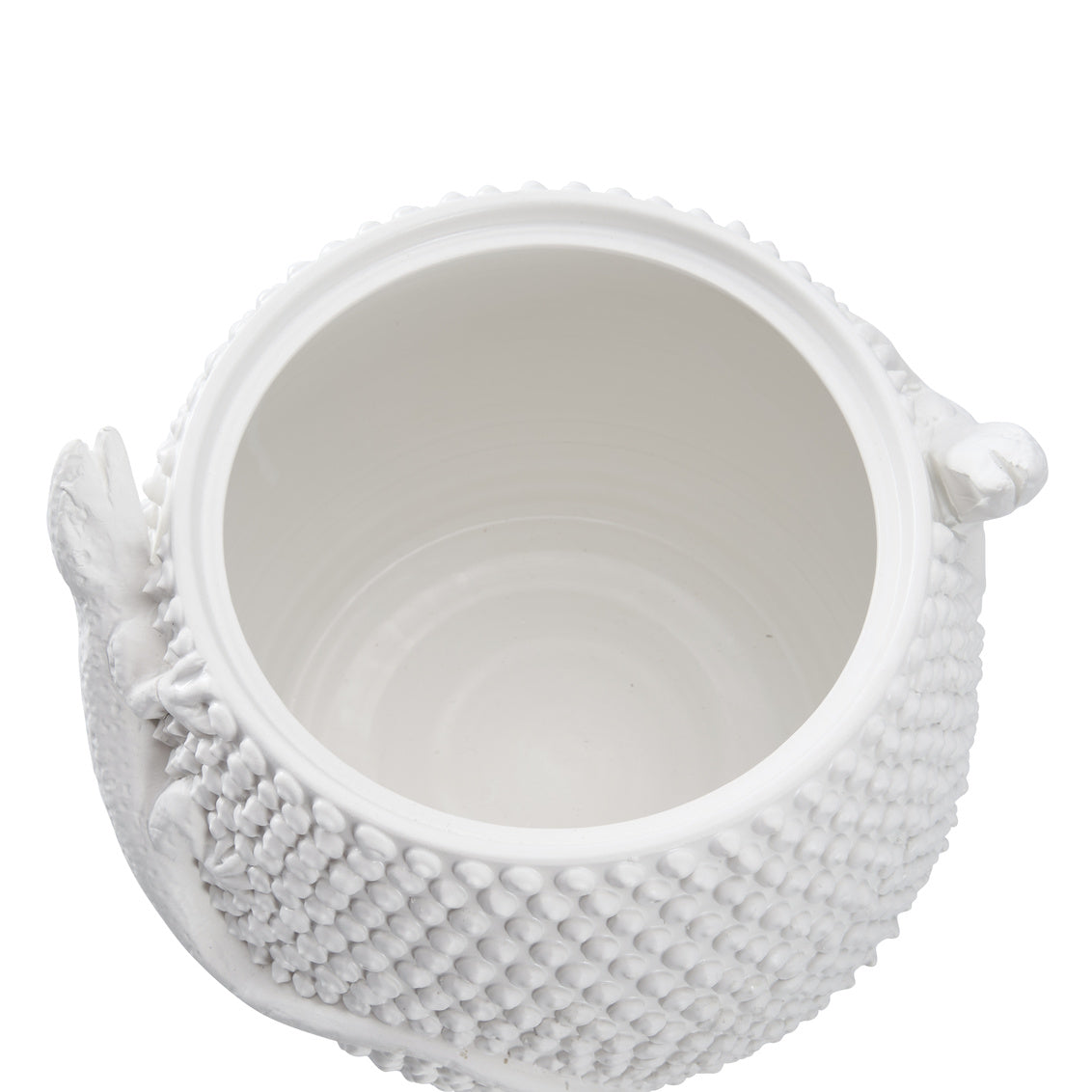 Anolis Canister - White