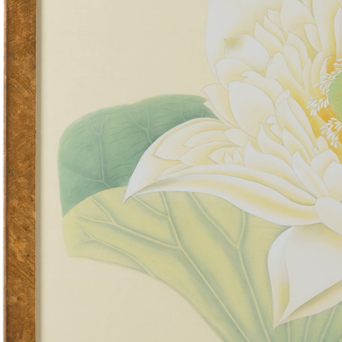Lotus Panel