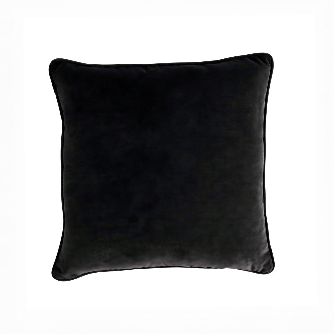 Plush Velvet Caviar 22x22