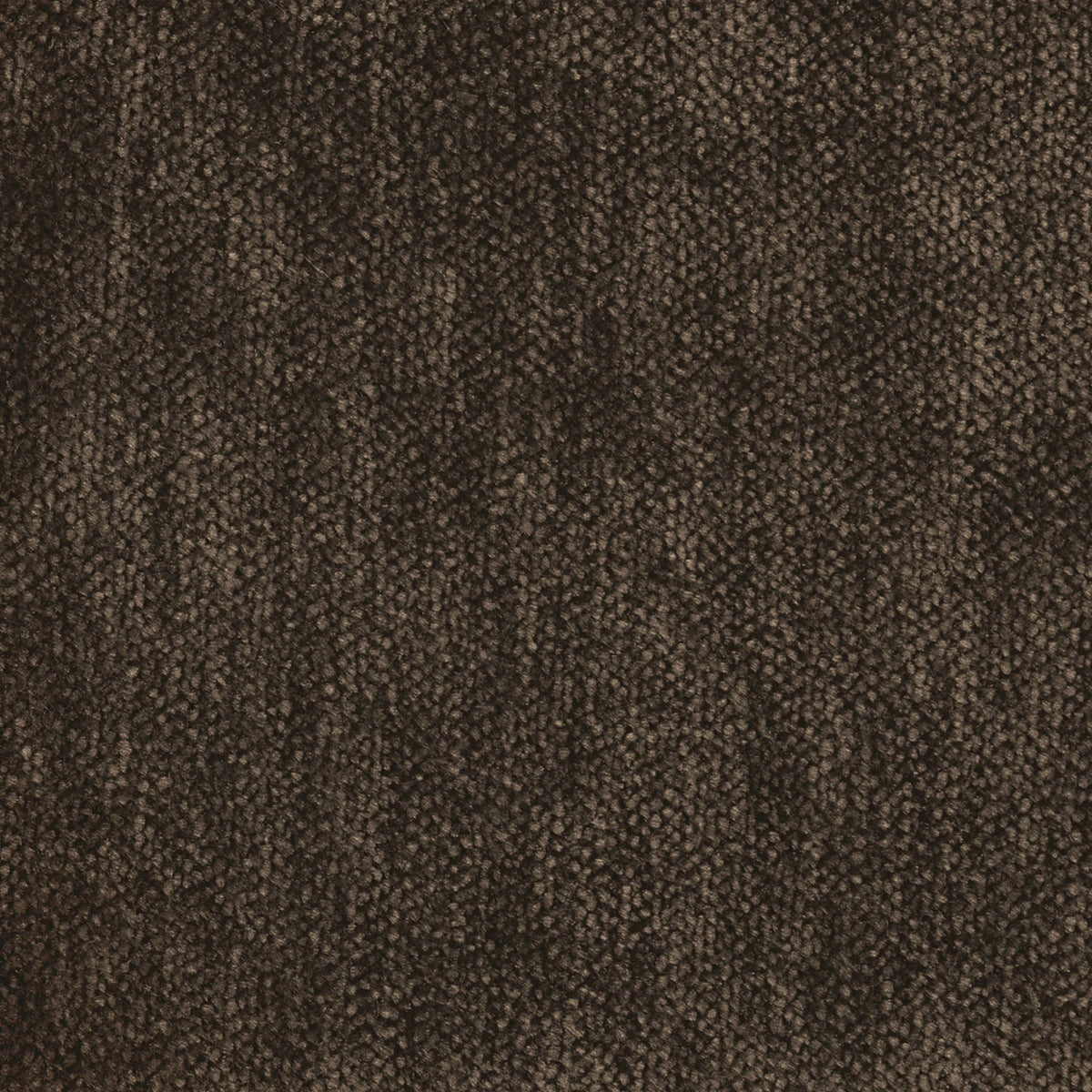 Gazelle Dining Chair - Mink