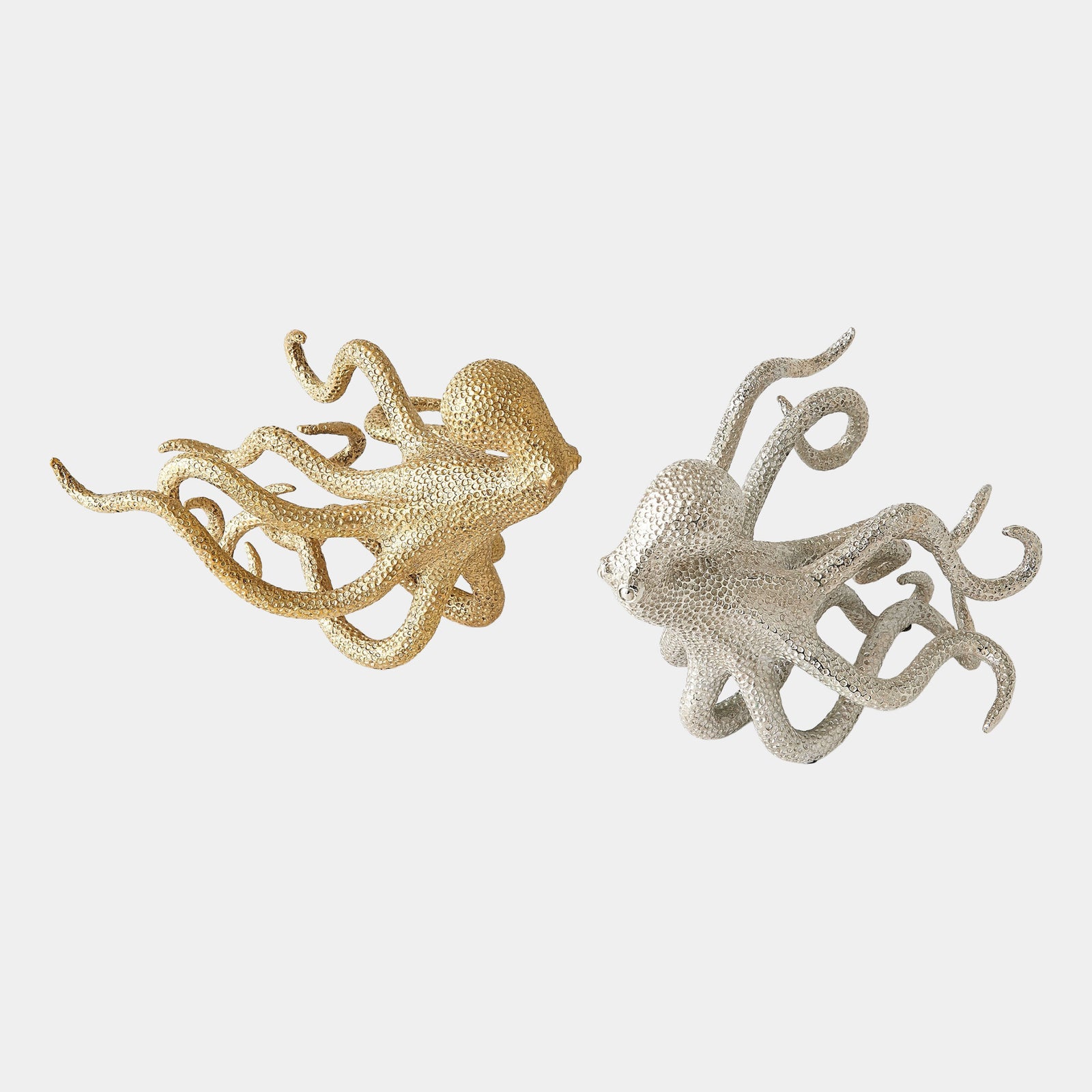 Gliding Octopus-Nickel