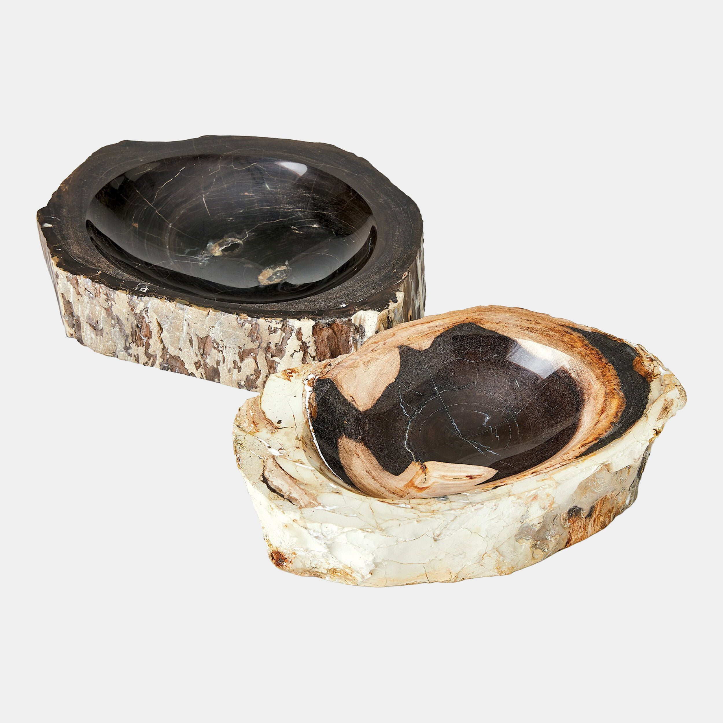 Petrified Wooden Bowl-Beige/Black