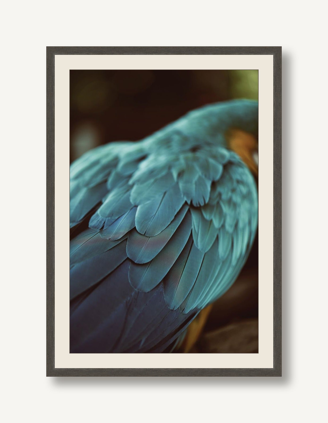 ALBO-B003-01 framed