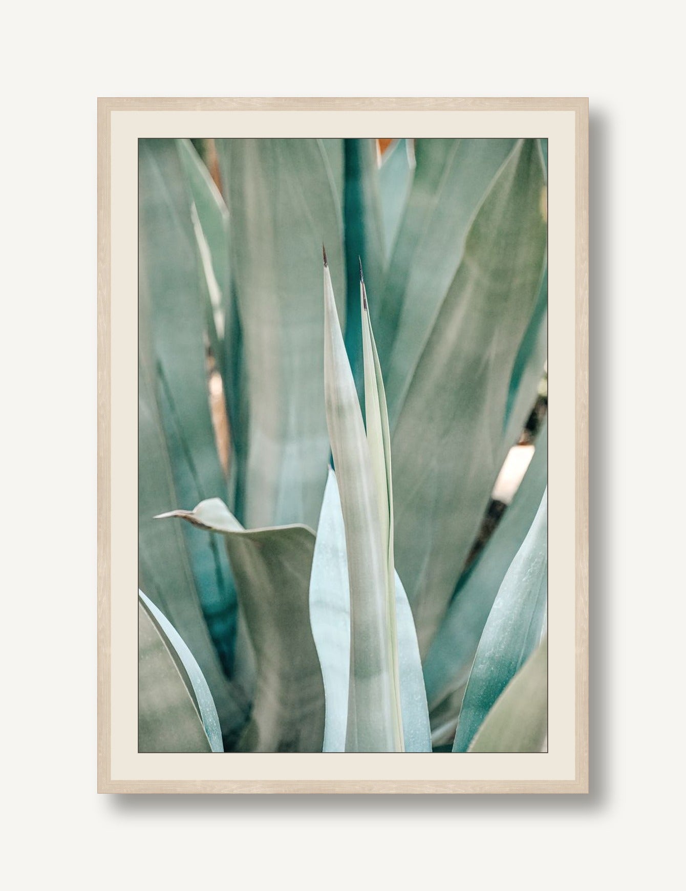 ALBO-S003-01 framed