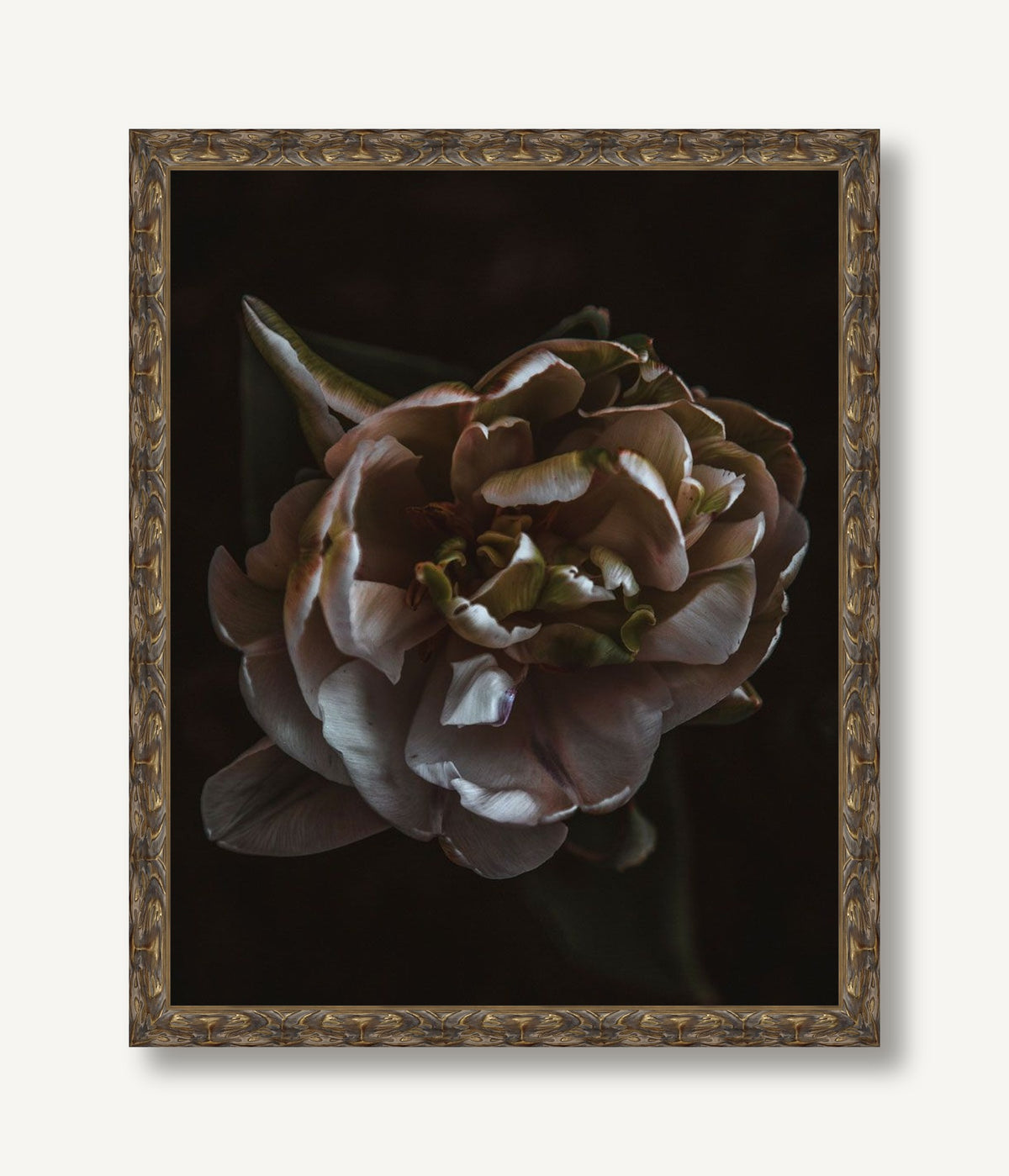 Night Blooming 5 — framed