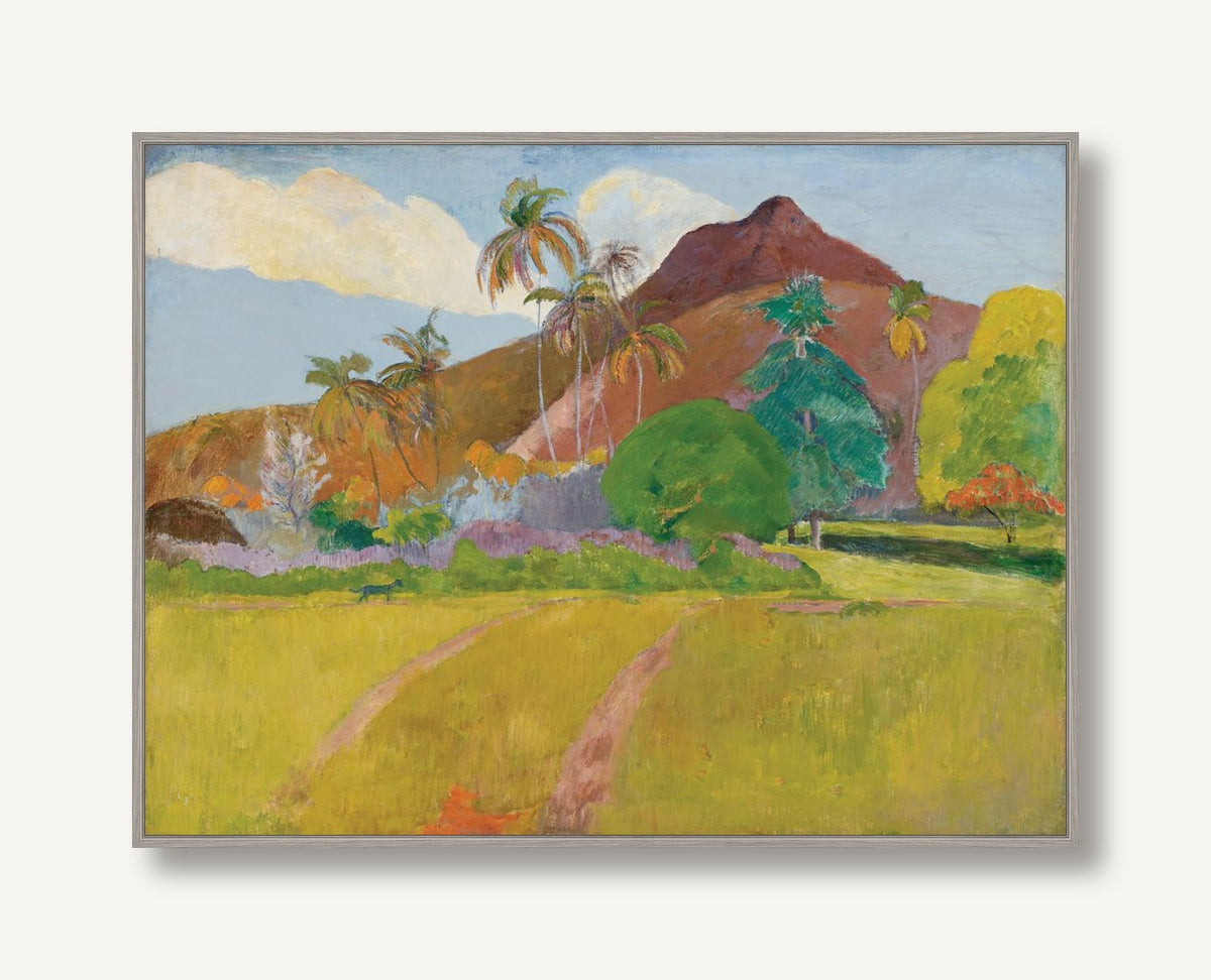 CEMI-C001-01 framed