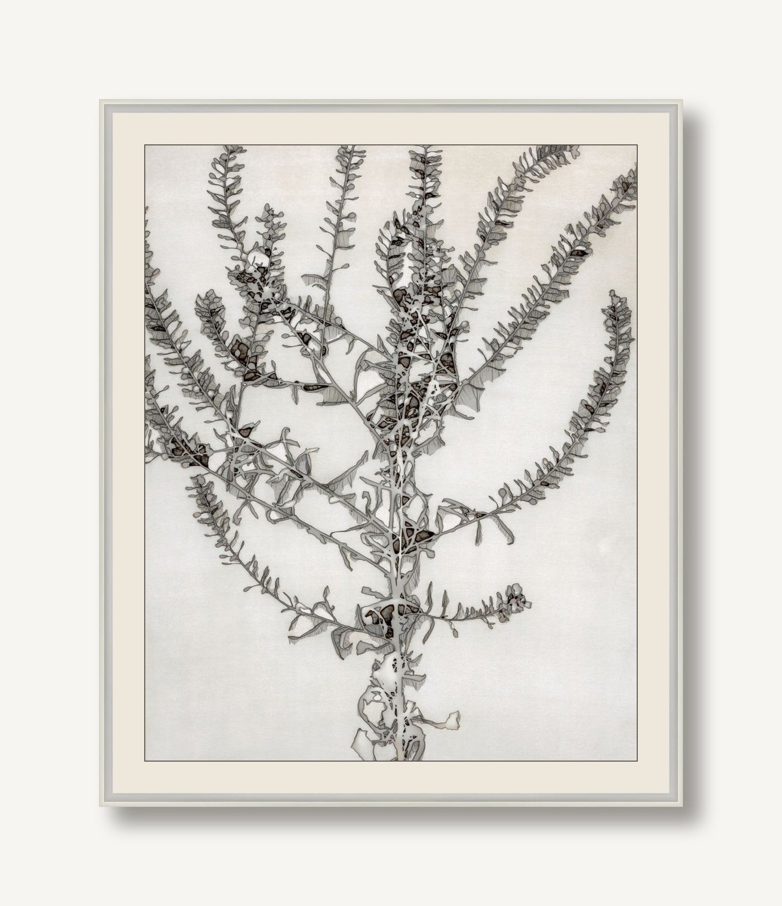 DAKI-S001-01 framed