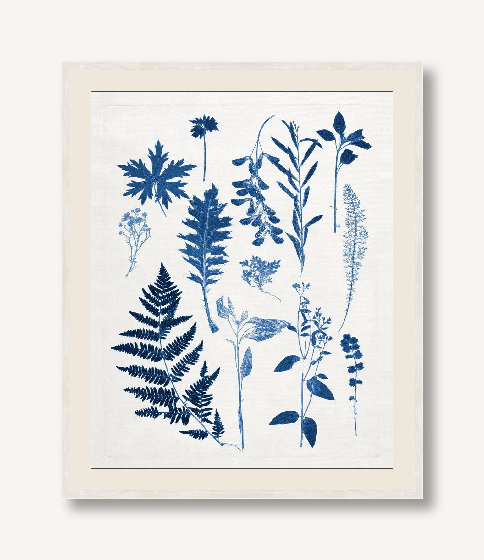 Blue Botanical Study 1 — framed