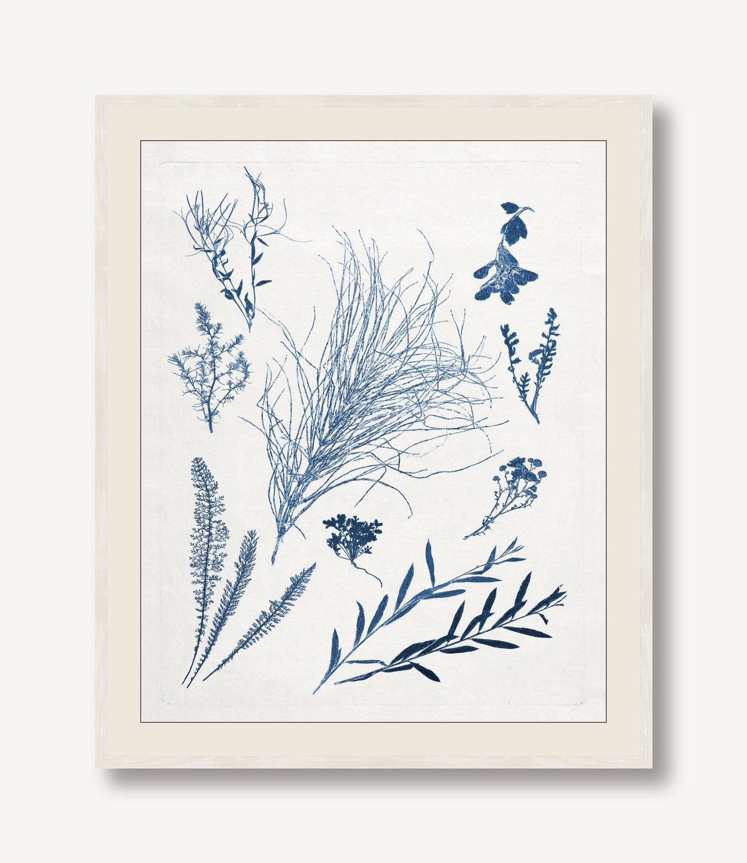 Blue Botanical Study 2 — framed